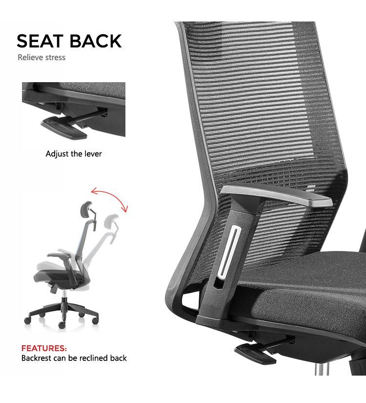 Huashi Office Furniture Chair High Back Armrest Adjustable Headrest Swivel Mesh Ergonomic Office Chair