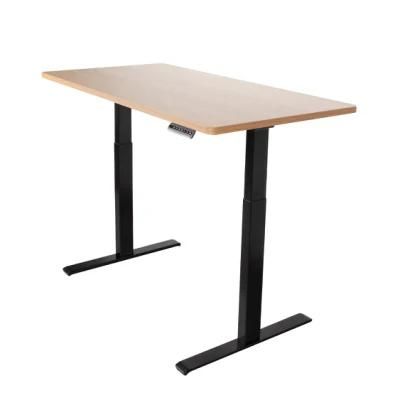 Dual Motor Office Sit Stand Desk Electric Height Adjustable Desk