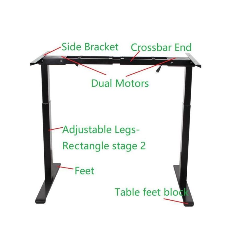 Sit Standing Desk Dual Motor Rectangle Leg Height Adjustable Desk