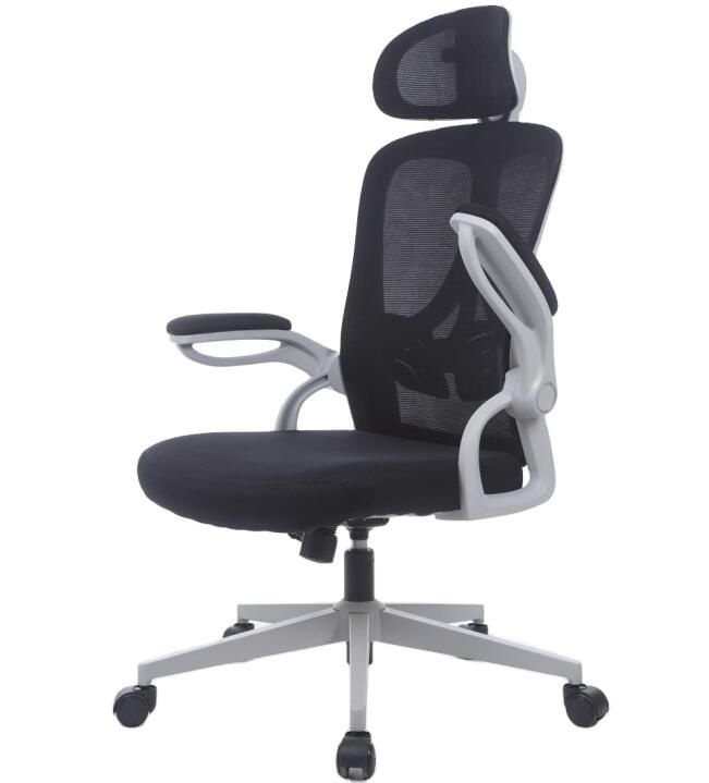 Mesh Modern Ergonomic Swivel Chair with Headrest Flip-up Armrest with Know-Down Steel Base