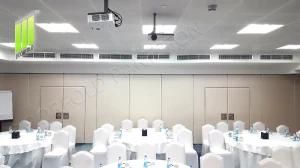 White Leather with Foam Pad Finish Invisible Frame Aluminium Partition
