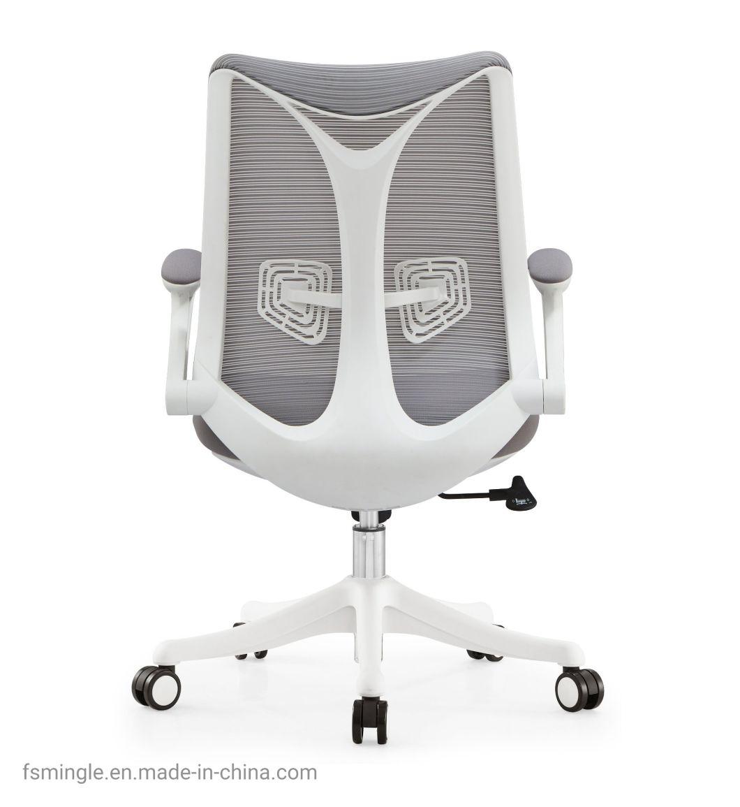 Ahsipa Furniture Ergonomic Middle Back Adjustable Swivel Mesh Office Chair