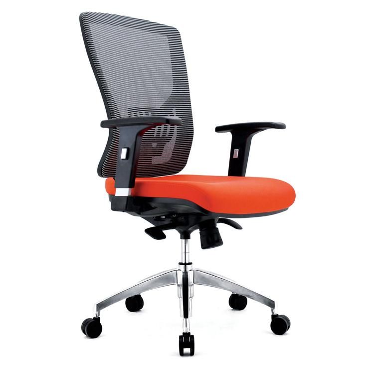 PP Back Ergonomic Task Chair with Nylon Swivel Back