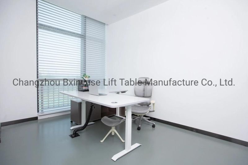 55 Inch Working Desk Height Adjustable Desk