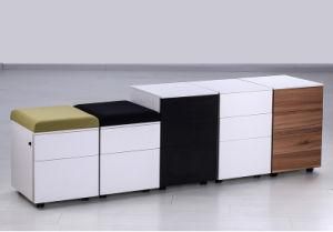 2 Drawer Mobile Cabinet with Wooden Frame
