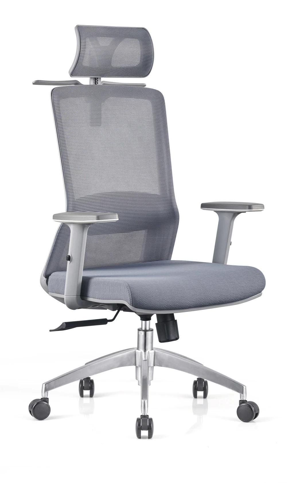 Exquisite Gray New Material and Fiber Frame Mesh Chairs with Adjustable Armrest Office Chairs 