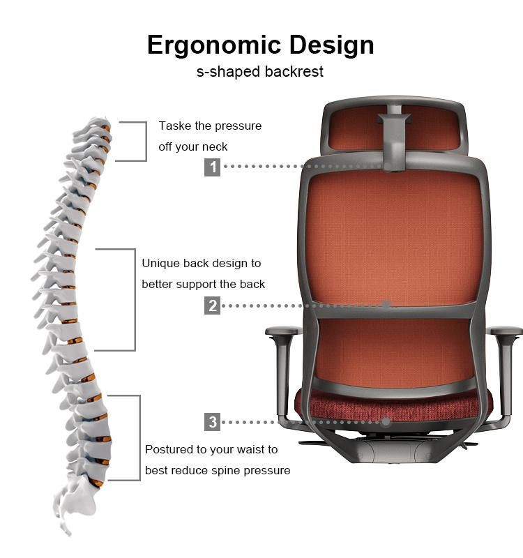 Ergonomic Chair Swing Back Adjustable Armrest