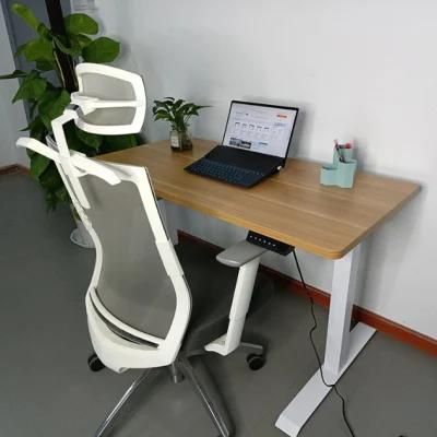 Home Office Furniture Height Adjustable Computer Desk Electric Sit Stand Standing Desk