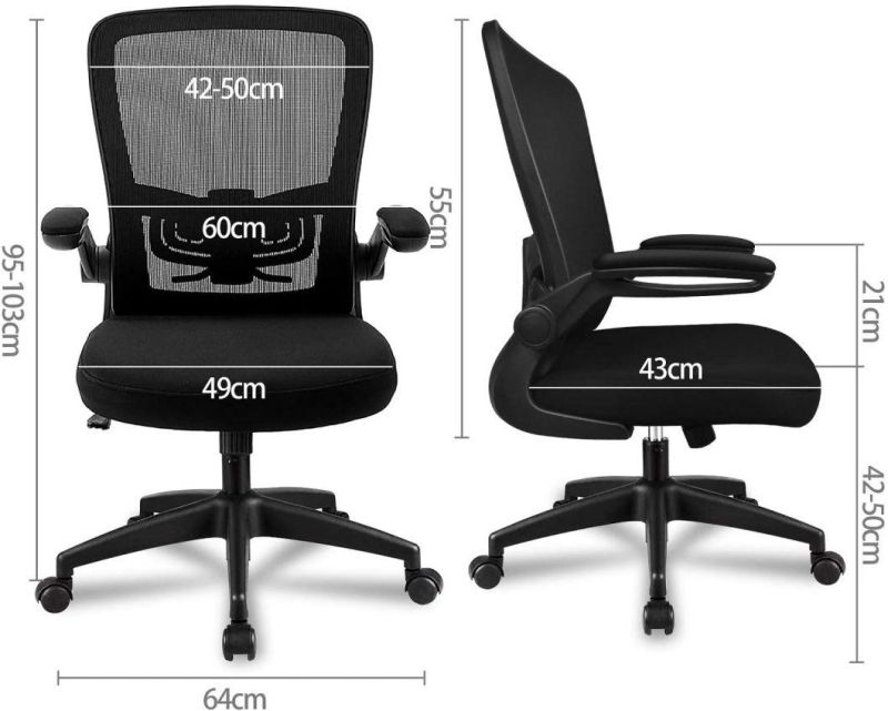 Li&Sung 10050 Ergonomic Lumbar Support Mesh Chair