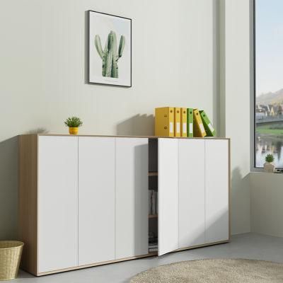 Modern File Cabinet Lowes Storage Cabinets Office Storage