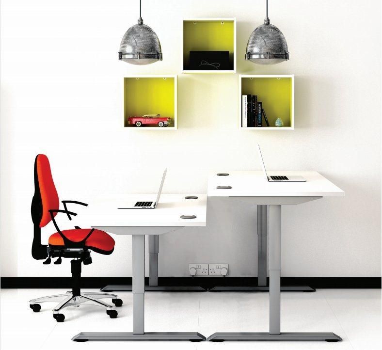 Sit Stand Desk Kids Furniture Height Adjustable Table Office Desk