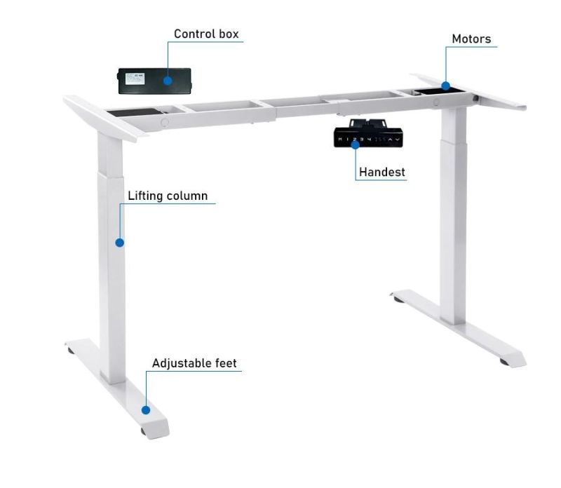 Dual Motor Ergoonomic Office Height Adjustable Standing Desk