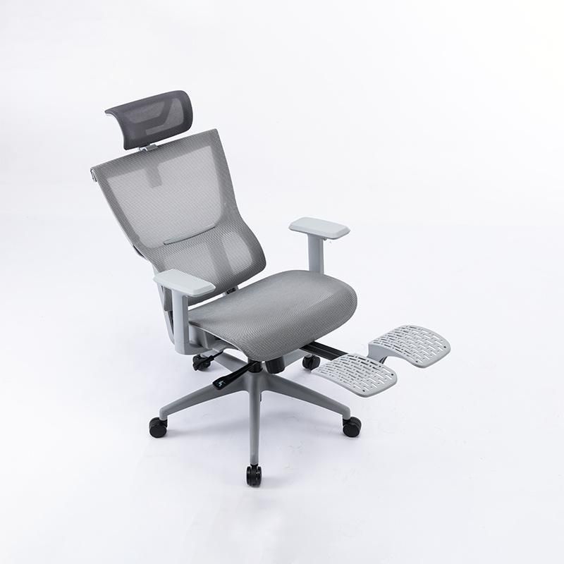 Li&Sung Ergonomic Computer Swivel Mesh Chair