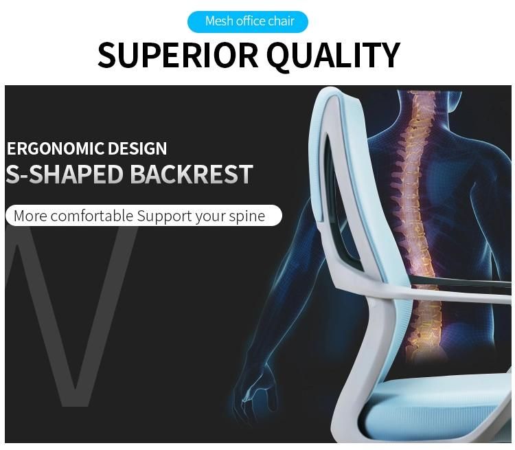 Li&Sung MID Back Staff Computer Task Office Mesh Chair
