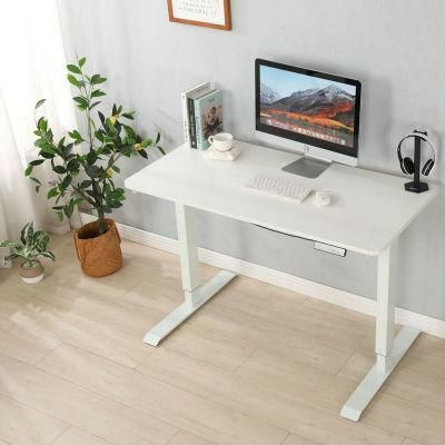 2022 Cheap Price Standing Desk Adjustable Intelligent Standing Electronic Table for Computer Adjustable Desk Office Desk