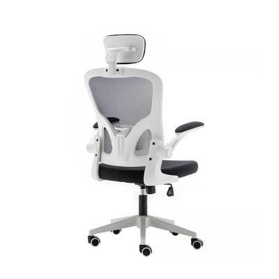 Free Sample Office Chair High Back Chair Ergonomic Desk Chair Office