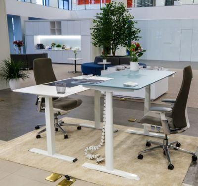 Dual Motor Adjustable Height Lift Desk Height Adjustable Desk