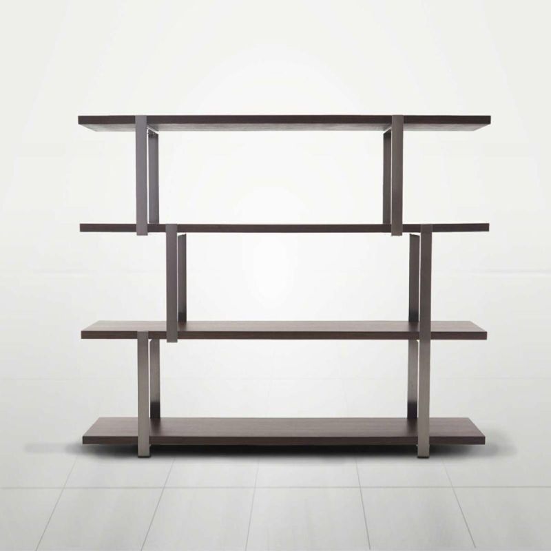 Fs42 Bookcase, Eucalyptus Color, Latest Design Bookcase in Home and Hotel Furniture Custom