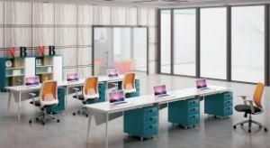New Design Customized Modern Office Furniture /Office Desk (Bl-ZY12)