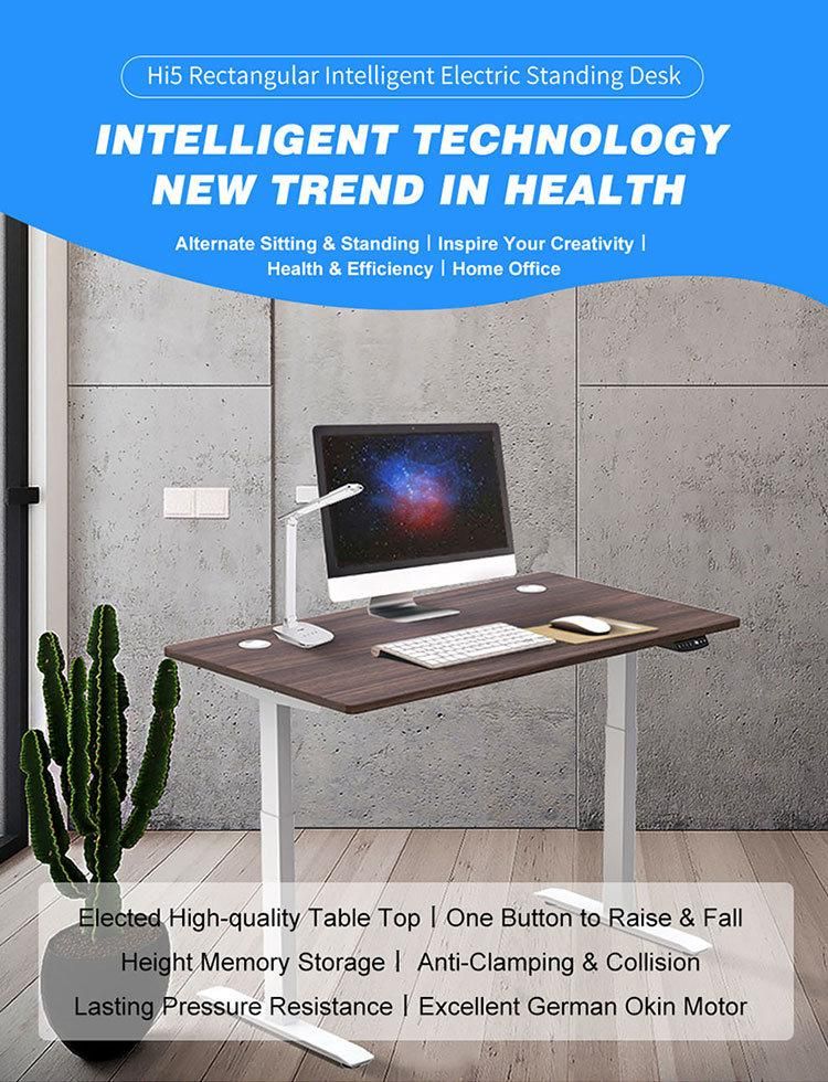 Ergonomic Office Electric Height Adjustable Sit to Stand Standing Desk
