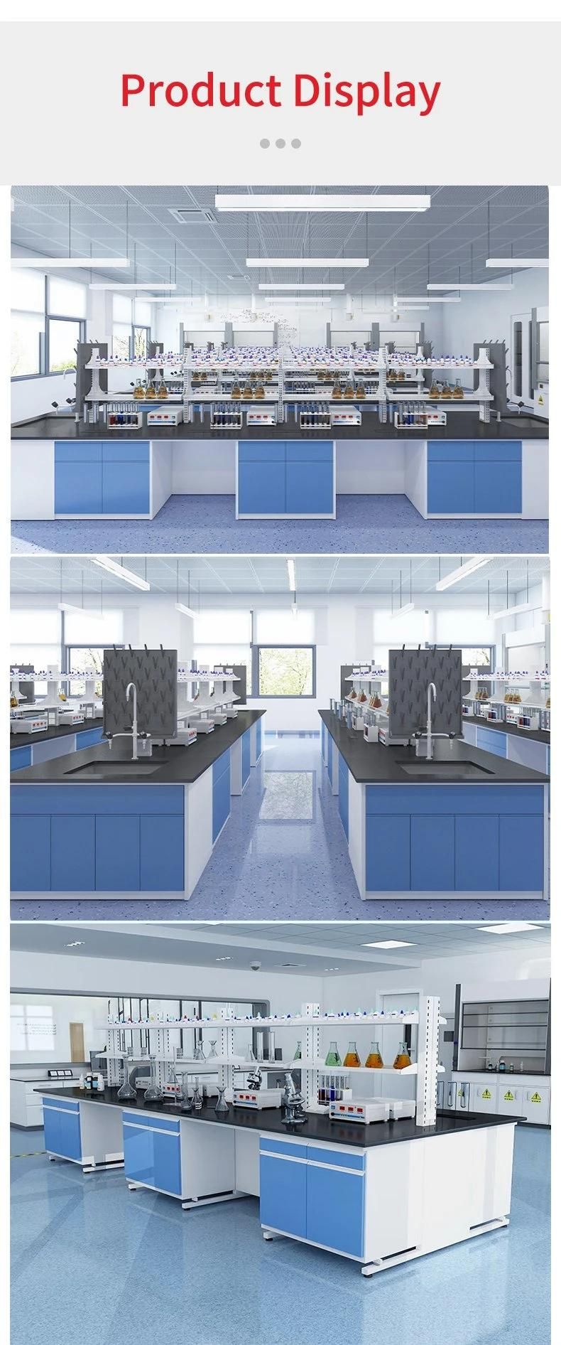 Good Price Laboratory Furniture Equipment Laboratory Work Station