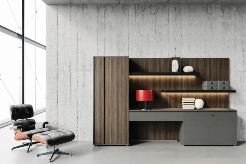 Elegant Design Multi-Functional Storage Office File Cabinet for Display in Manager Office