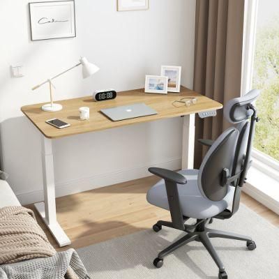 Office Furniture Manufacturers Ergonomic Motorized Sit-Stand Table Single Motor Electric Adjustable Height Office Standing Desks with USB Ports
