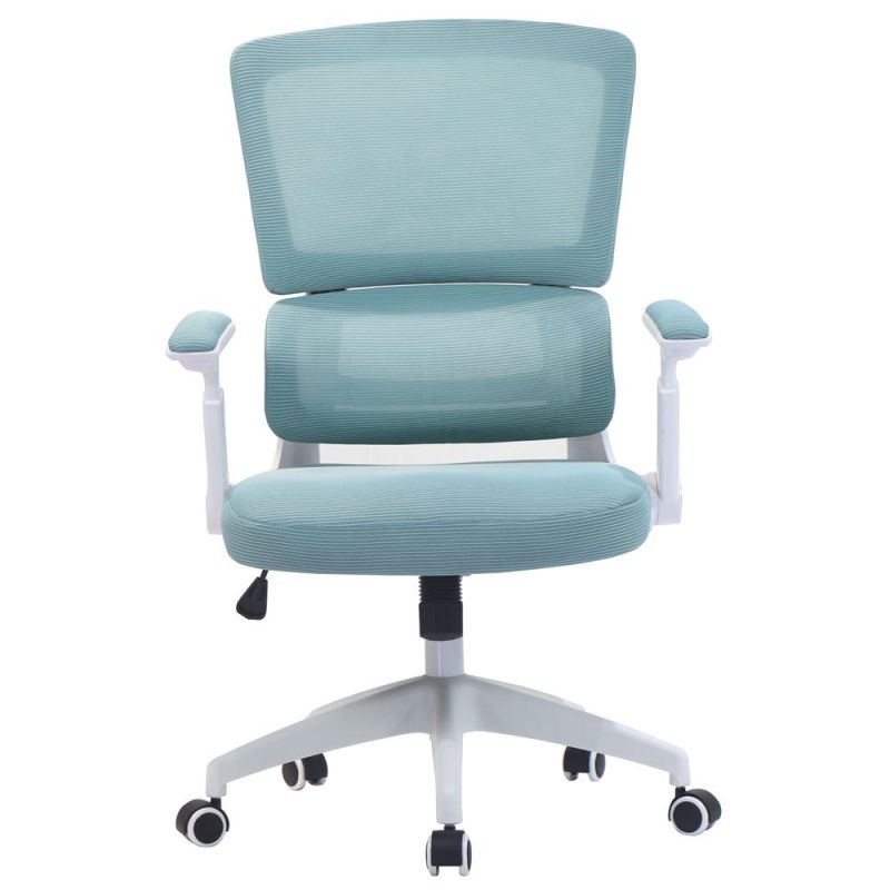White Ergo Flip-up Armrest Home Blue Mesh Office Chair