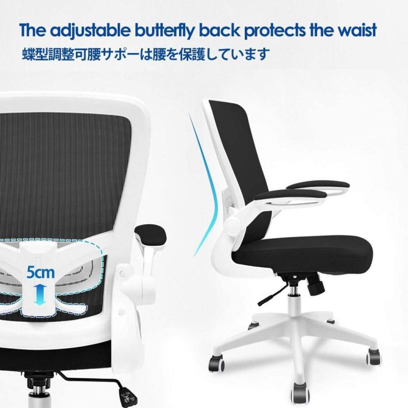 Li&Sung 10042 Ergonomic Swivel Lumbar Office Chair
