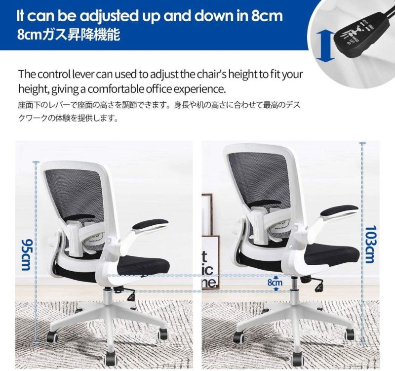 Li&Sung 10042 Ergonomic Swivel Lumbar Office Chair