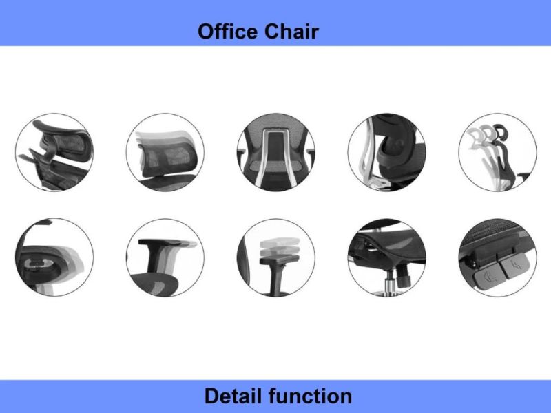 Modern School Hotel Office furniture En Standard Full Mesh Chair