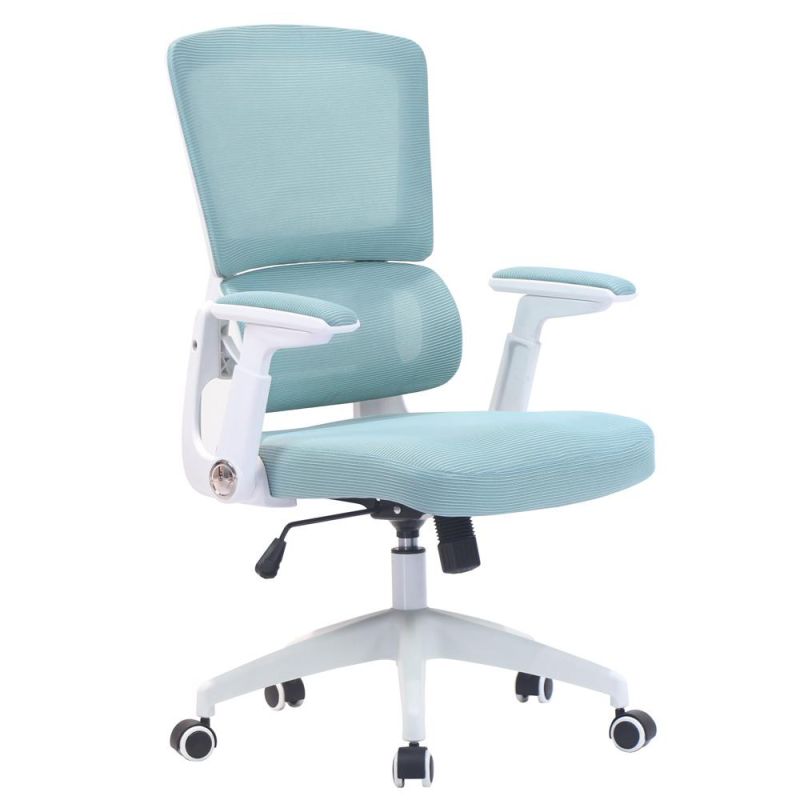 White Ergo Flip-up Armrest Home Blue Mesh Office Chair