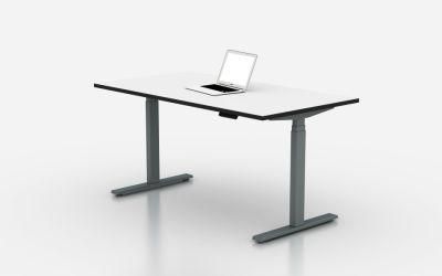 Ergonomic Office Automatic Height Adjustable Desk
