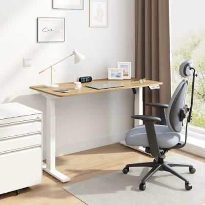 Smart Office Desk Furniture Modern Dual Motor Computer Height Adjustable Standing Table