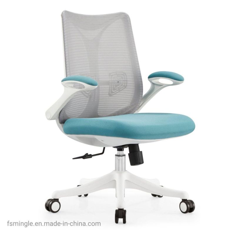 Ahsipa Furniture Ergonomic Middle Back Adjustable Swivel Mesh Office Chair