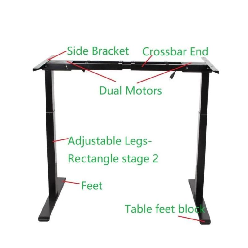 Hot Selling Dual Motor Low Noise Sit to Stand Computer Study Desk