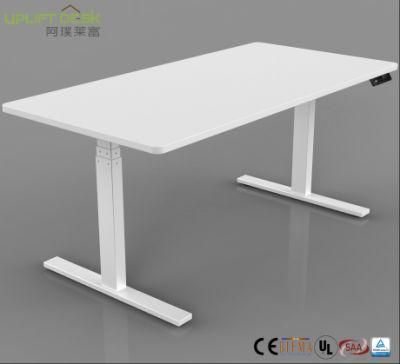Ergonomic Sit to Stand Desk Motorized Standing Desk