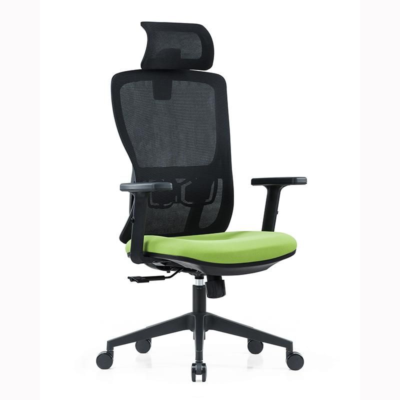 Mesh Back Adjustable Arms and Lumbar Support Designer Office Chair