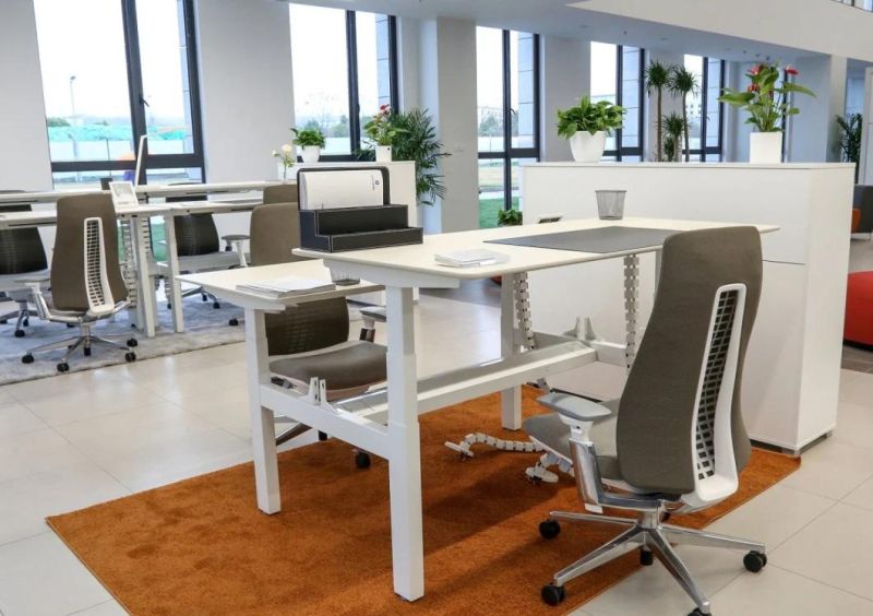 Four-Motor Electric Adjustable Desk Commercial Office Furniture Adjustable Desk Office Desk