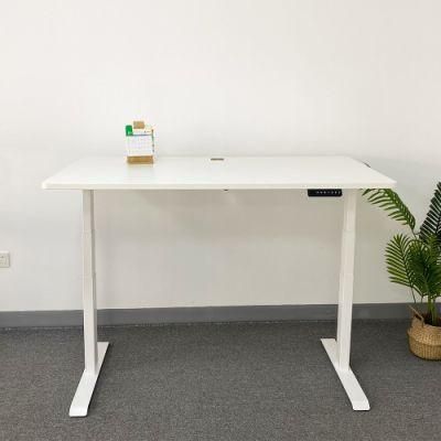 Metal Office Furniture Dual Motor Electric Standing Desk Height Adjustable Office Desk