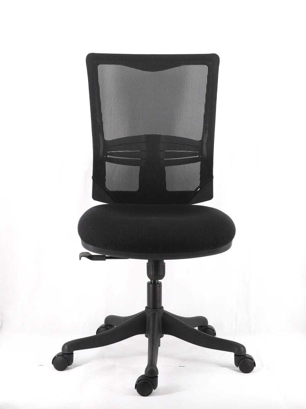 Mesh Upholstery Backrest with Lumbar Support Adjustable Armrest Simple Function Seat up and Down Mechanism Nylon Base Manger Office Chair