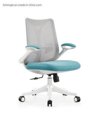 Ahsipa Furniture Ergonomic Middle Back Adjustable Swivel Mesh Office Chair