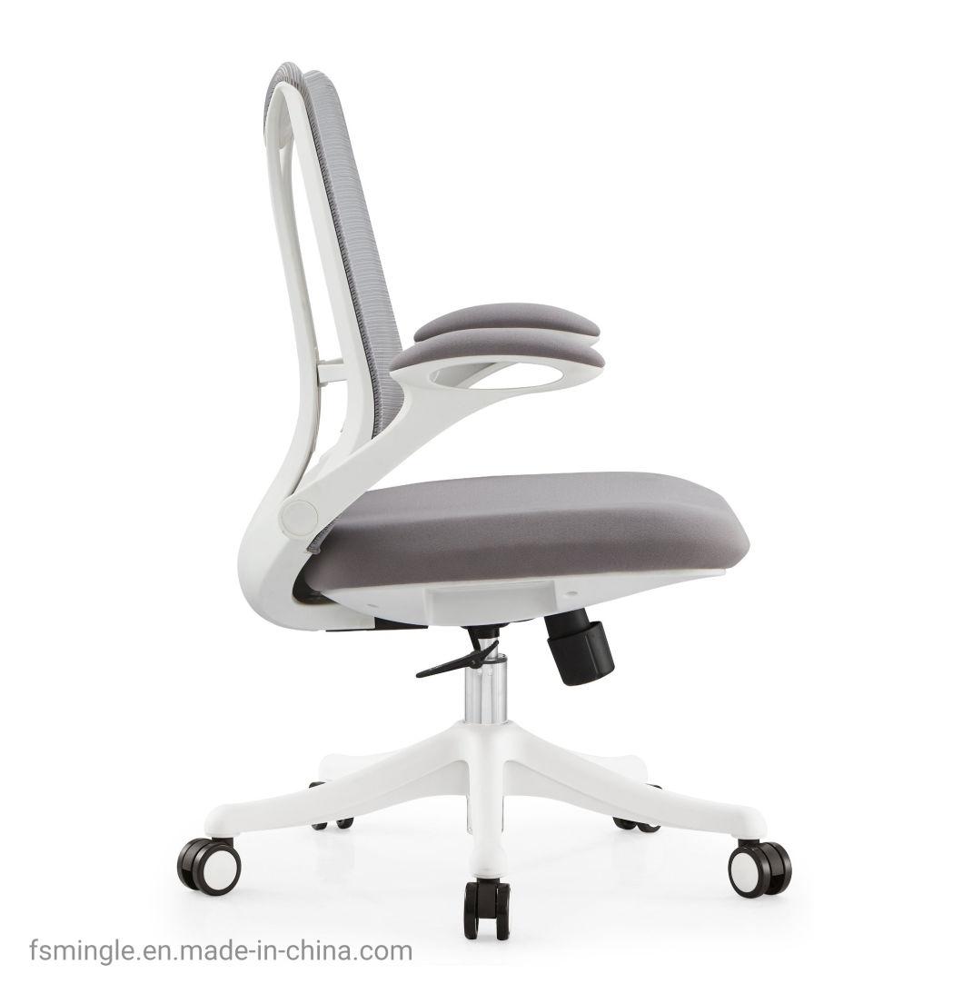Ahsipa Furniture Ergonomic Middle Back Adjustable Swivel Mesh Office Chair