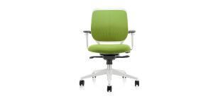 Ergonomic Design Office Chair with a Contemporary Look
