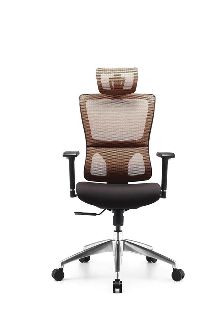 Foh 5 Years Warranty Luxury Ergonomic Mesh Office Chair