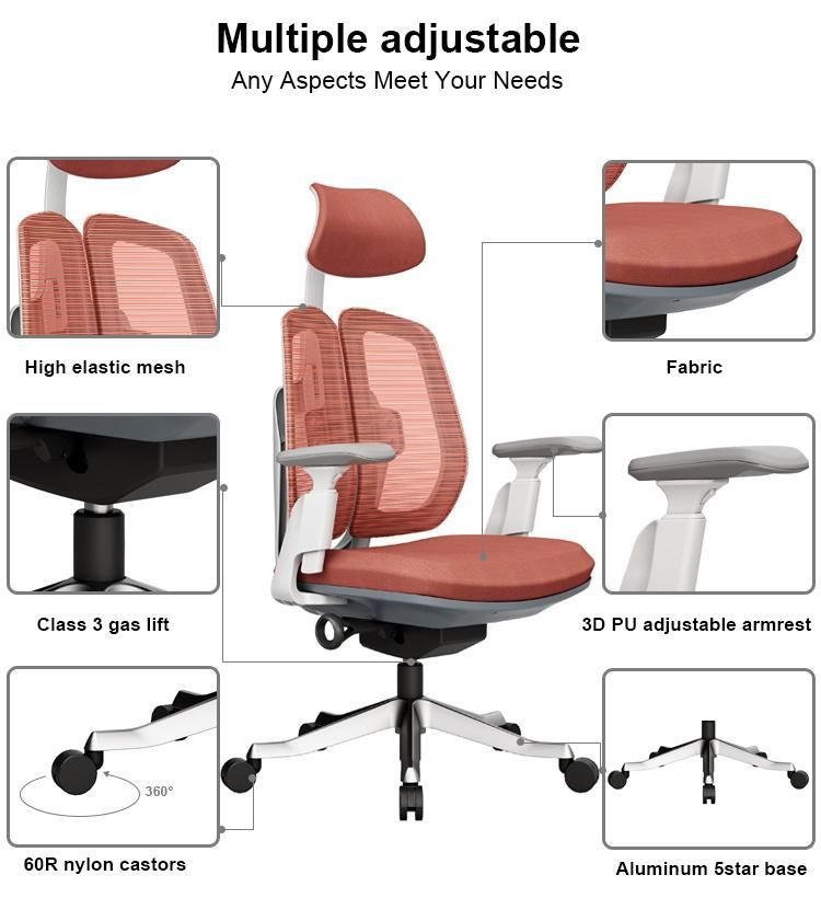 Double Back Ergonomic Chair Special Design BIFMA