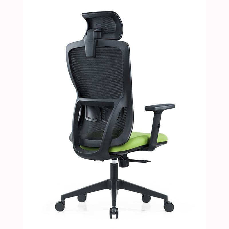 Mesh Back Adjustable Arms and Lumbar Support Designer Office Chair