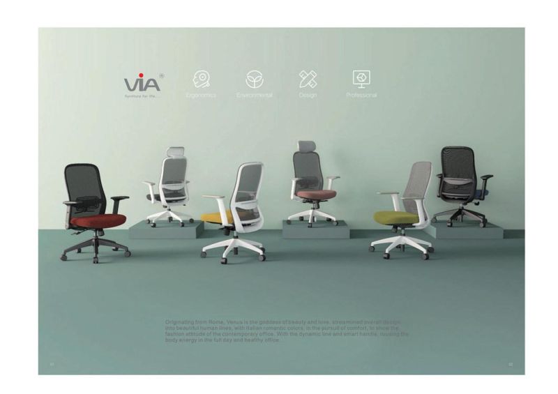Adjustable Ergonomic Mesh Back Task Executive Swivel Office Chair with Seat Slide