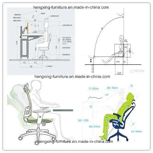 Excellent Quality Ergonomic Staff Office Mesh Chair (HX-9435A)