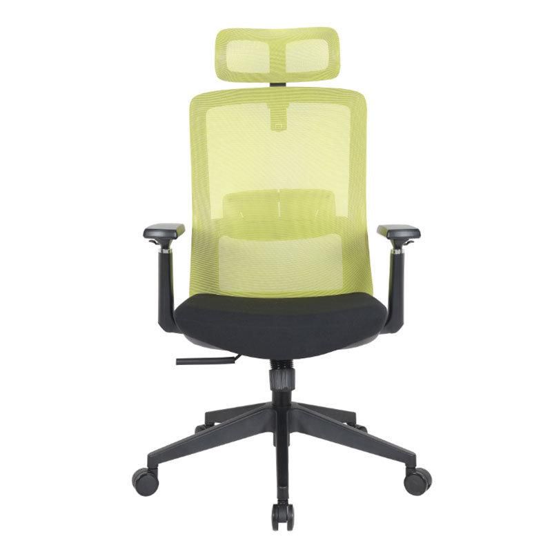 Lisung 10129 Swivel Manager Executive Ergonomic Mesh Chair